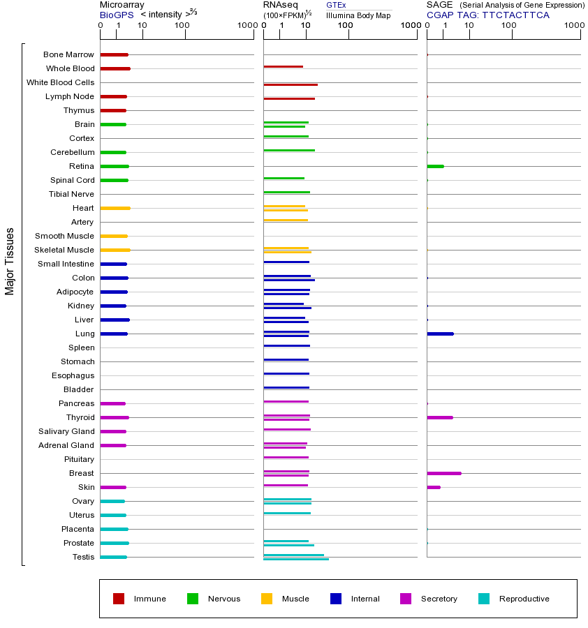 Gene expression across tissues