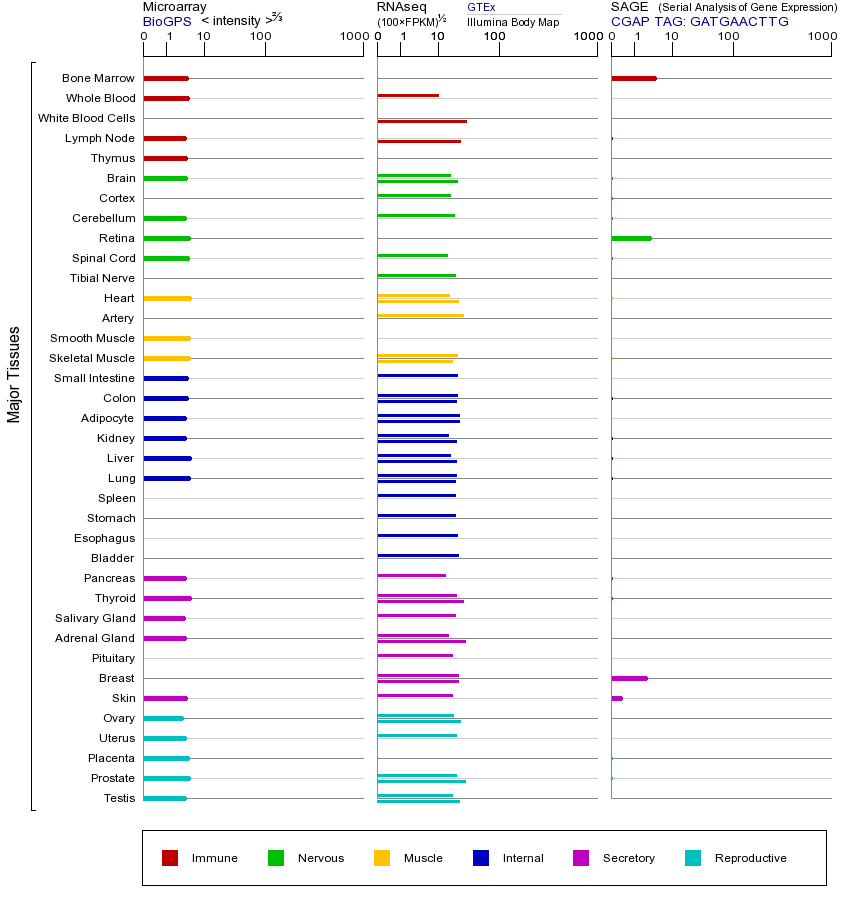 Gene expression across tissues