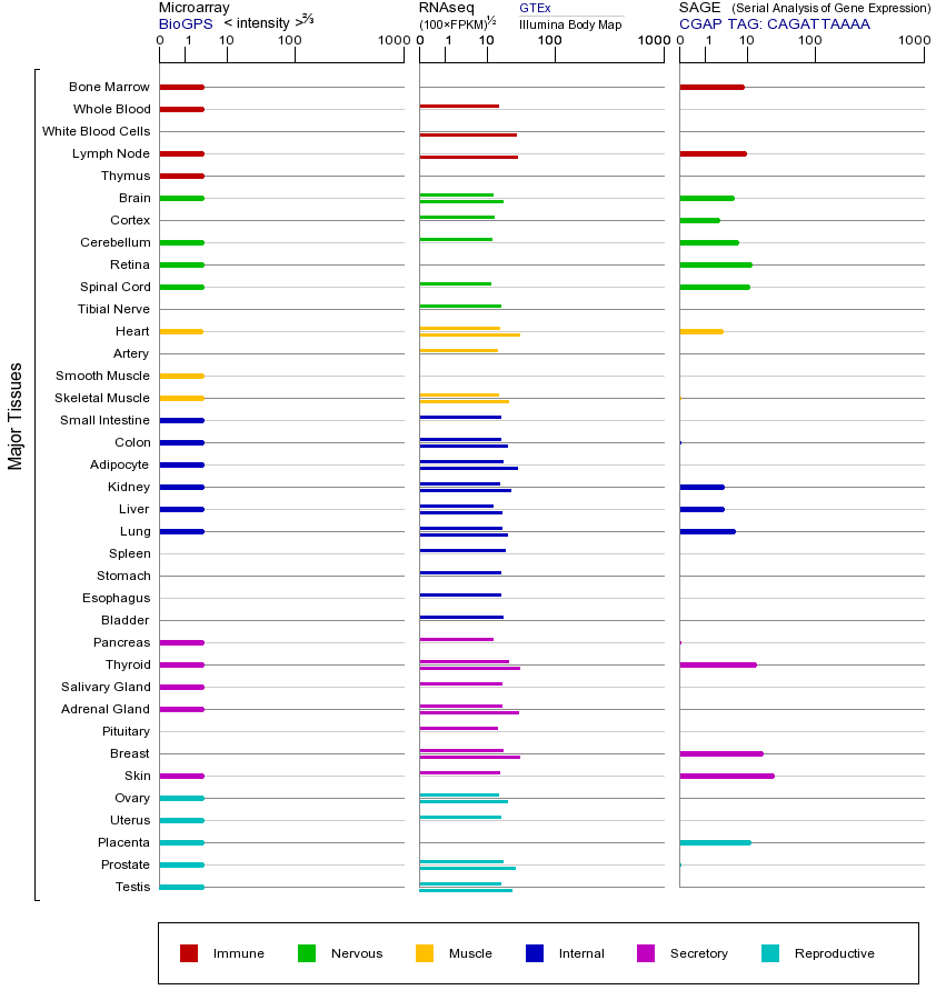Gene expression across tissues