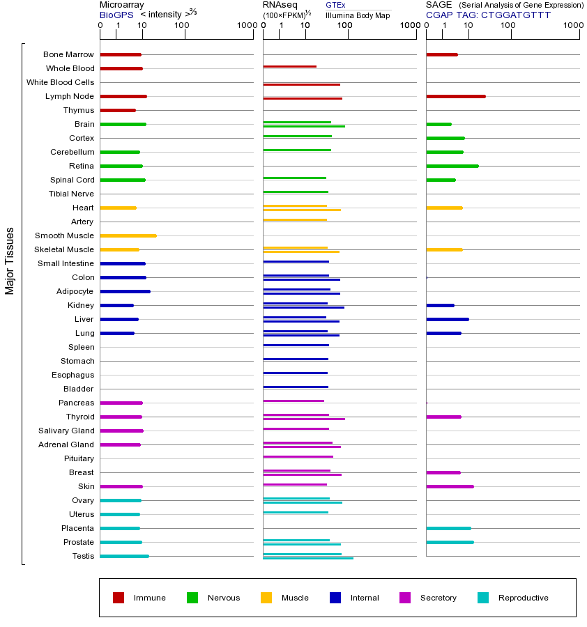 Gene expression across tissues