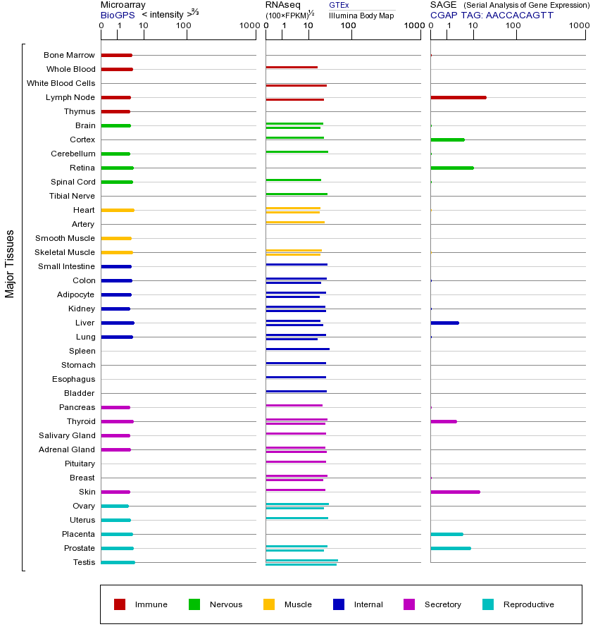 Gene expression across tissues