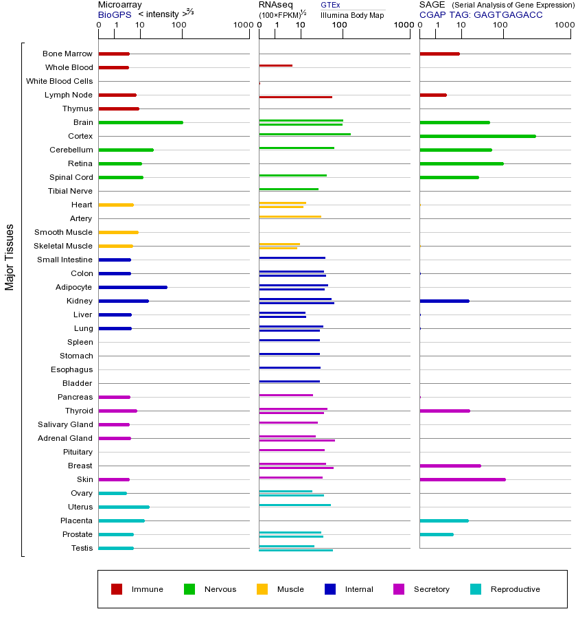 基因在不同组织中的表达图