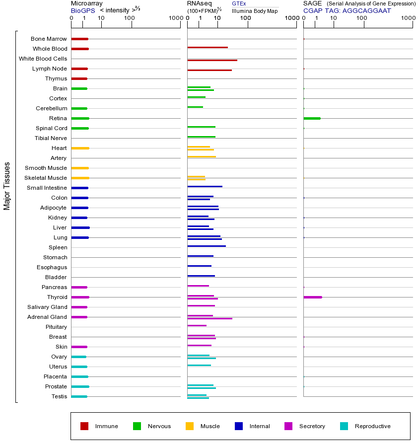基因在不同组织中的表达图