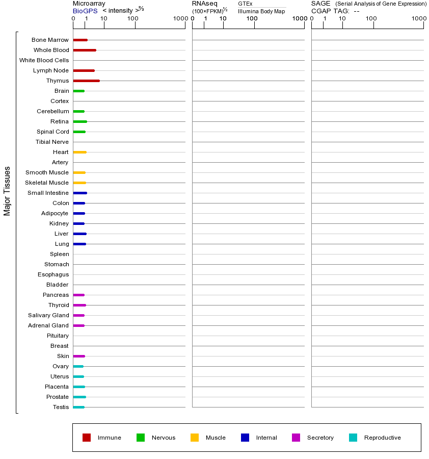 基因在不同组织中的表达图