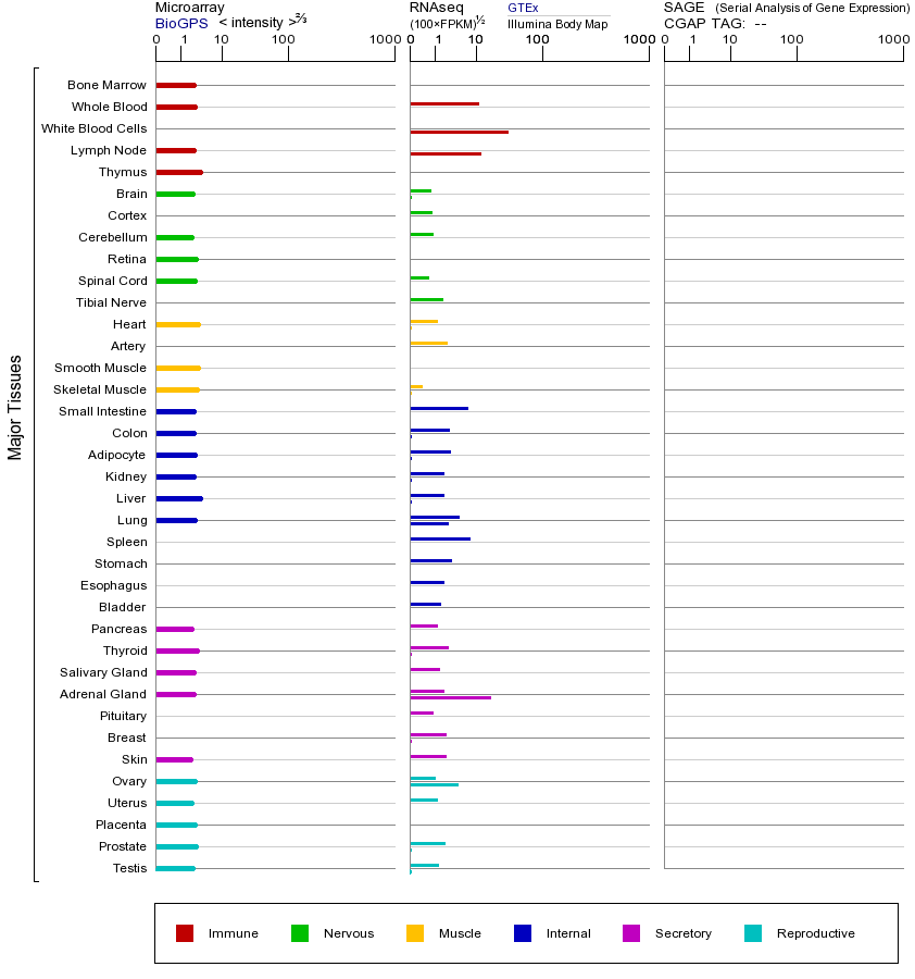 基因在不同组织中的表达图