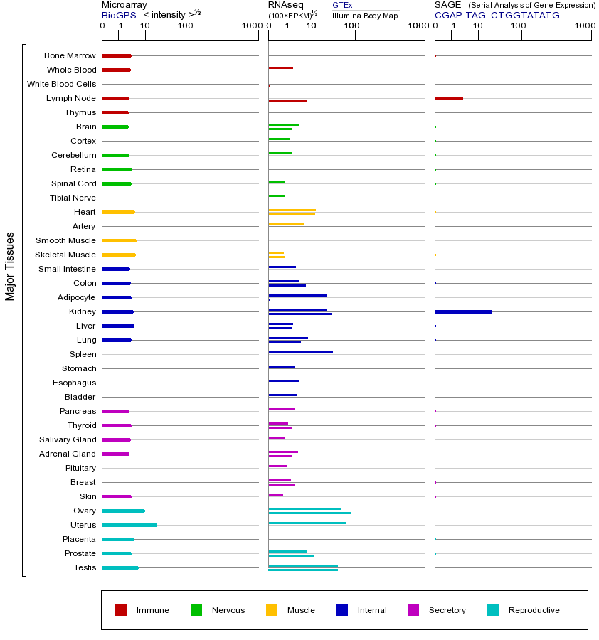 Gene expression across tissues