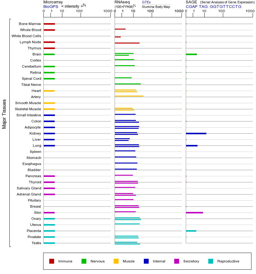 Gene expression across tissues